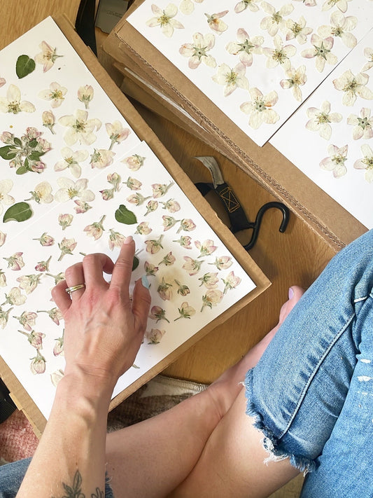 Reconnecting With Joy & Creativity