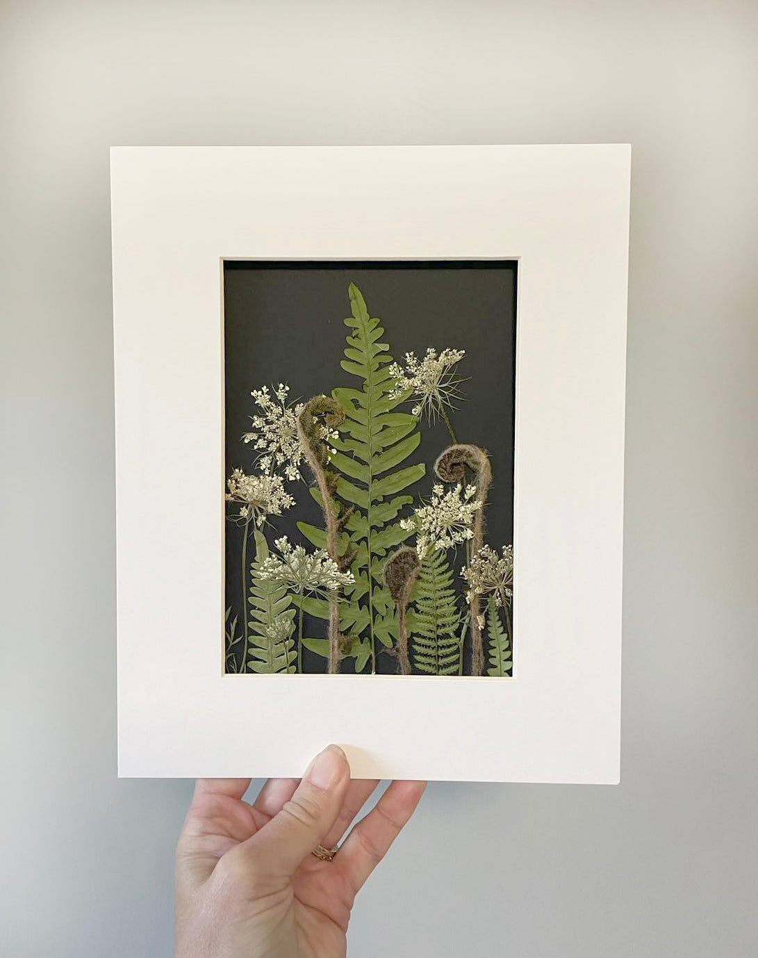 Forest & Field Collection - Ferns & Greenery