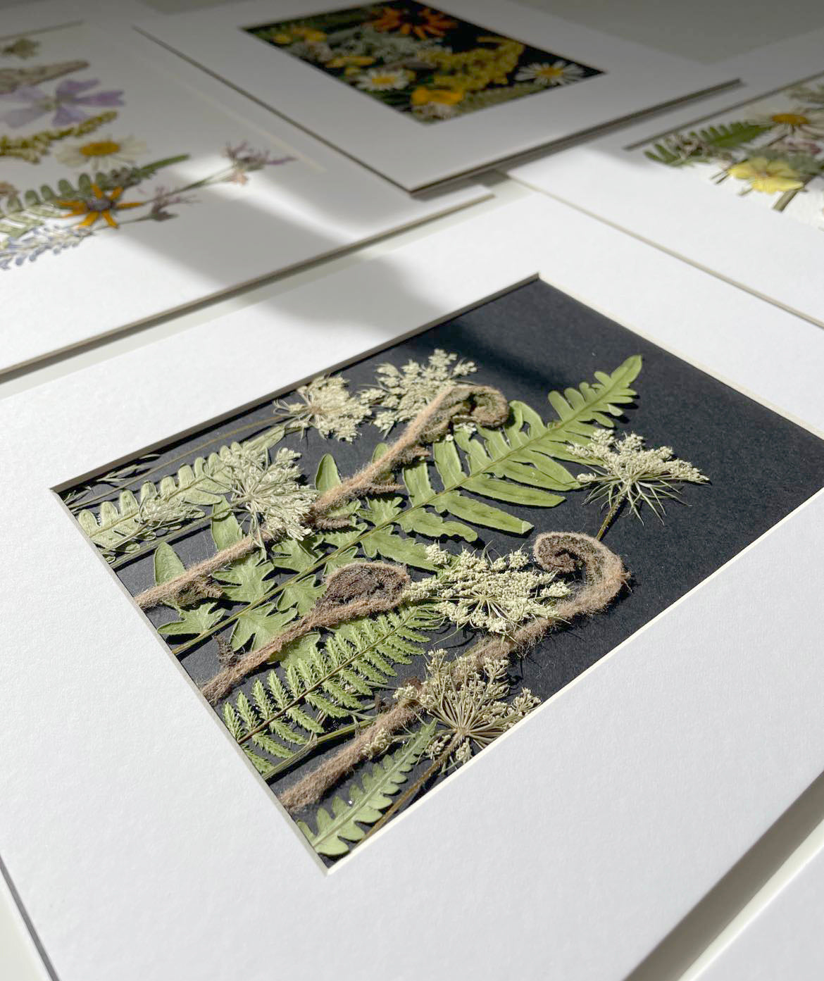 Forest & Field Collection - Ferns & Greenery
