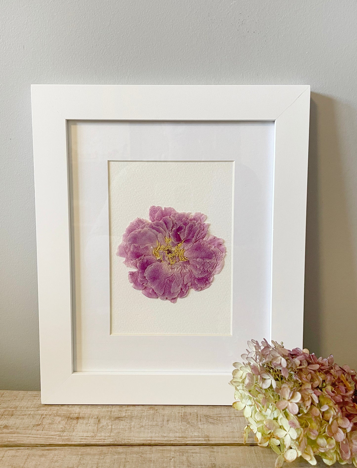 Pink Peony, Pressed Flower