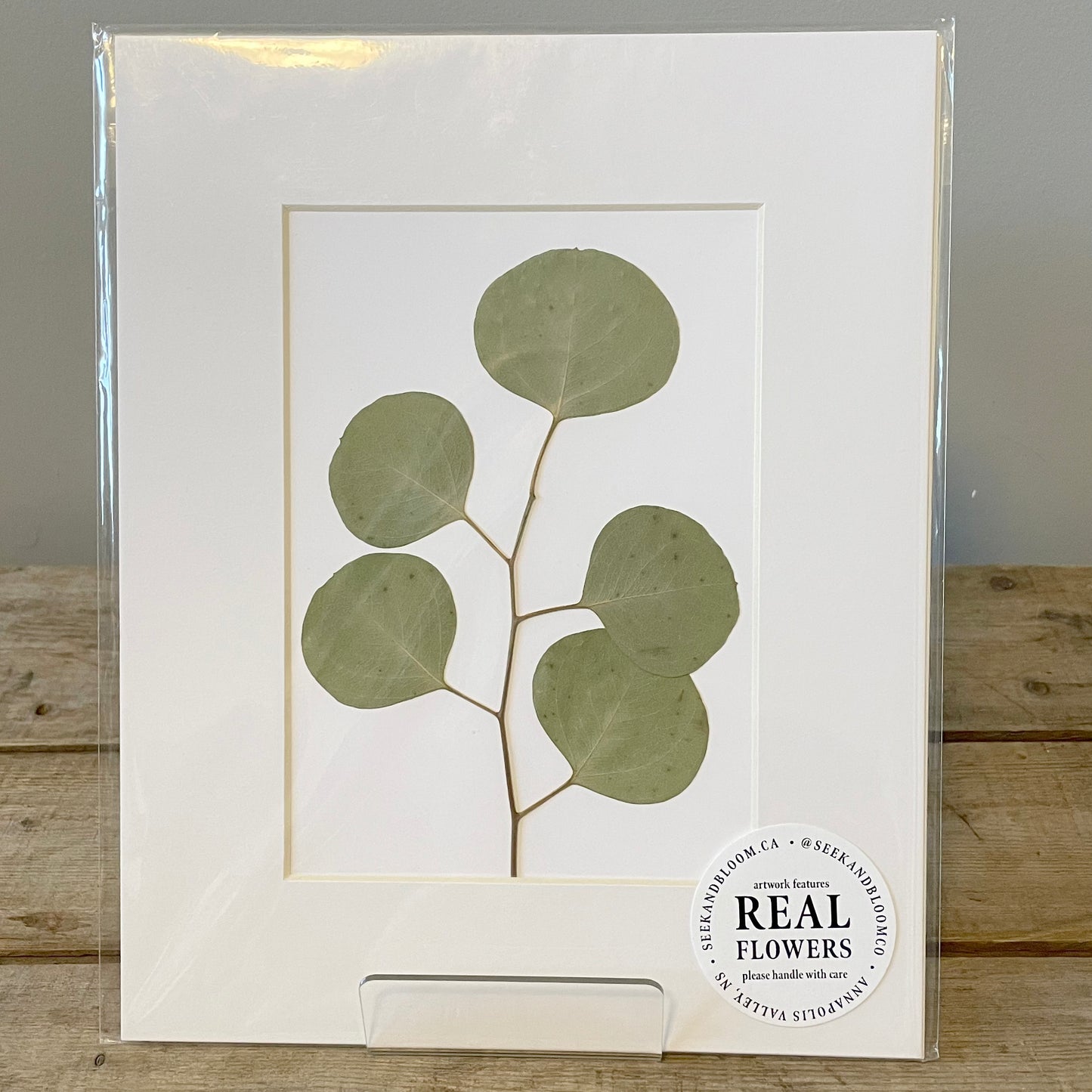 5"x7" Eucalyptus Branch - Original Artwork