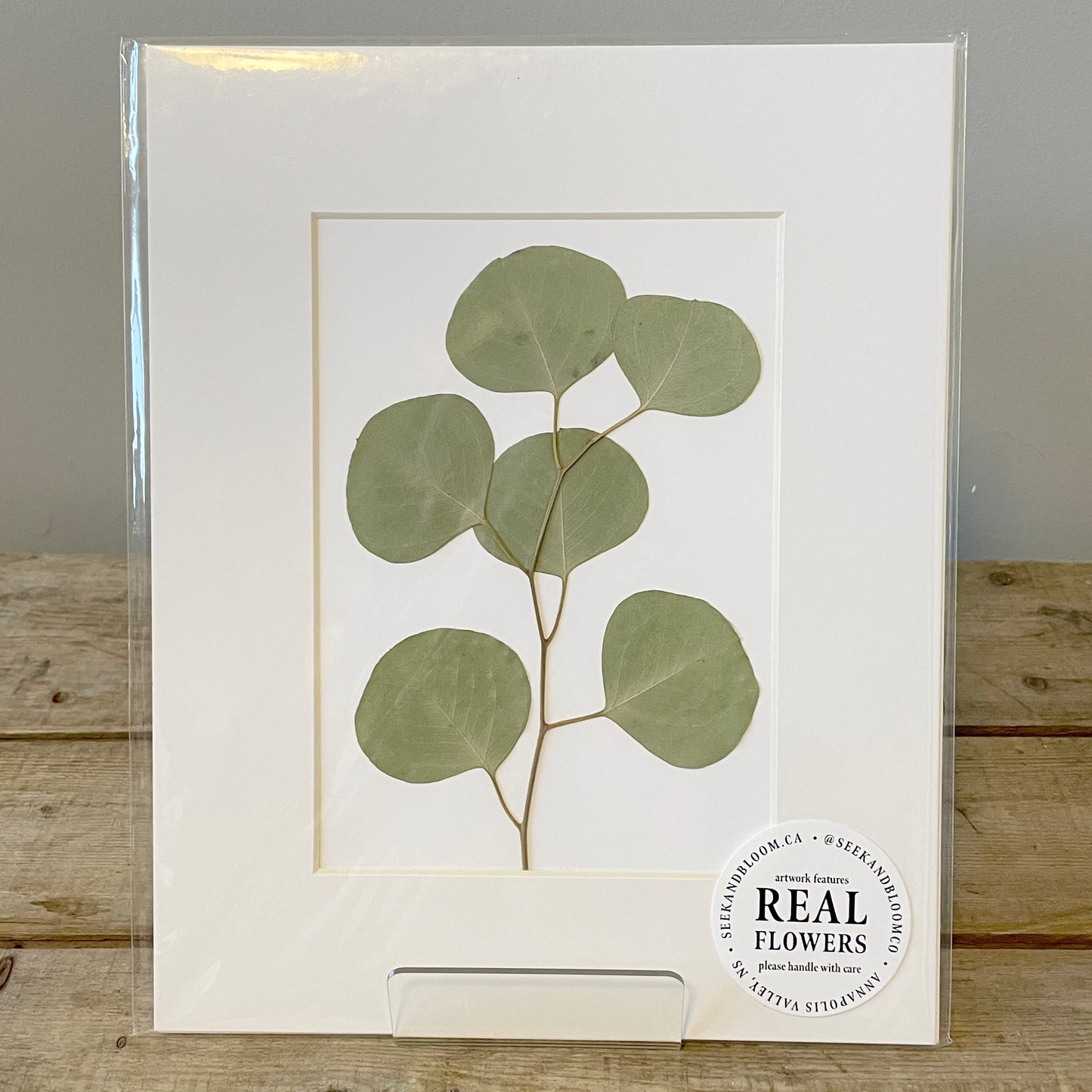 5"x7" Eucalyptus Branch - Original Artwork