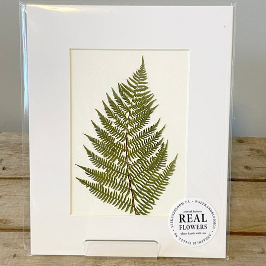 5"x7" Wild Fern - Original Artwork