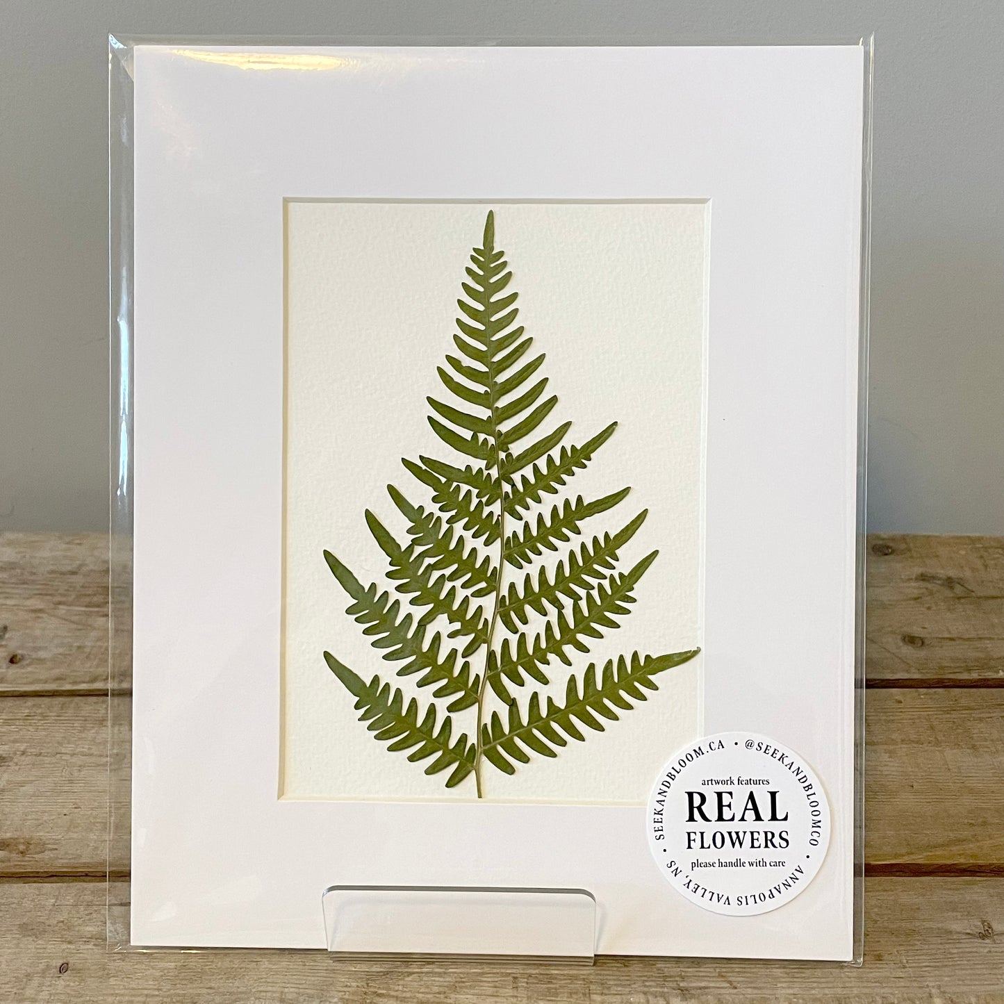 5"x7" Wild Fern - Original Artwork