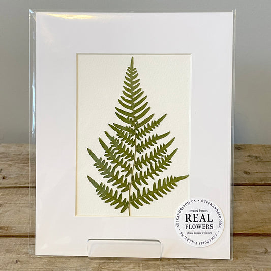 5"x7" Wild Fern - Original Artwork