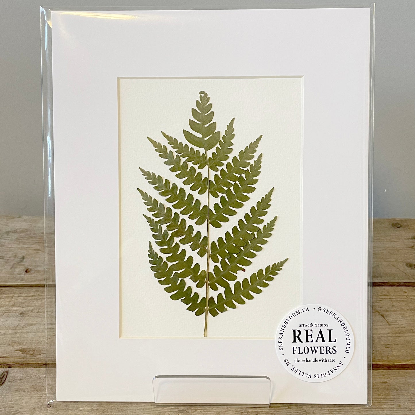 5"x7" Wild Fern - Original Artwork
