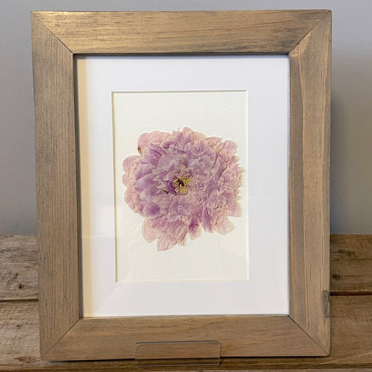 5"x7" Pink Peony - Original Artwork Framed