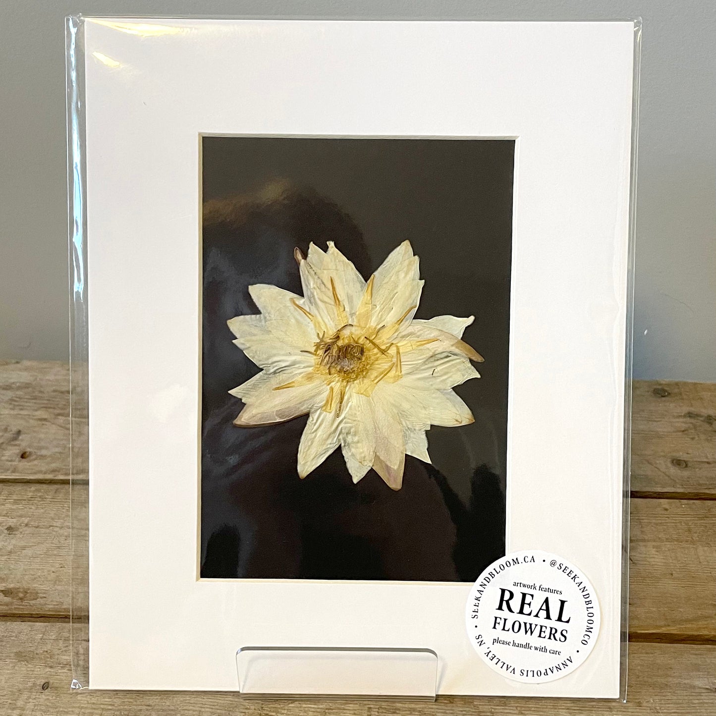 5"x7" Water Lily- Original Artwork