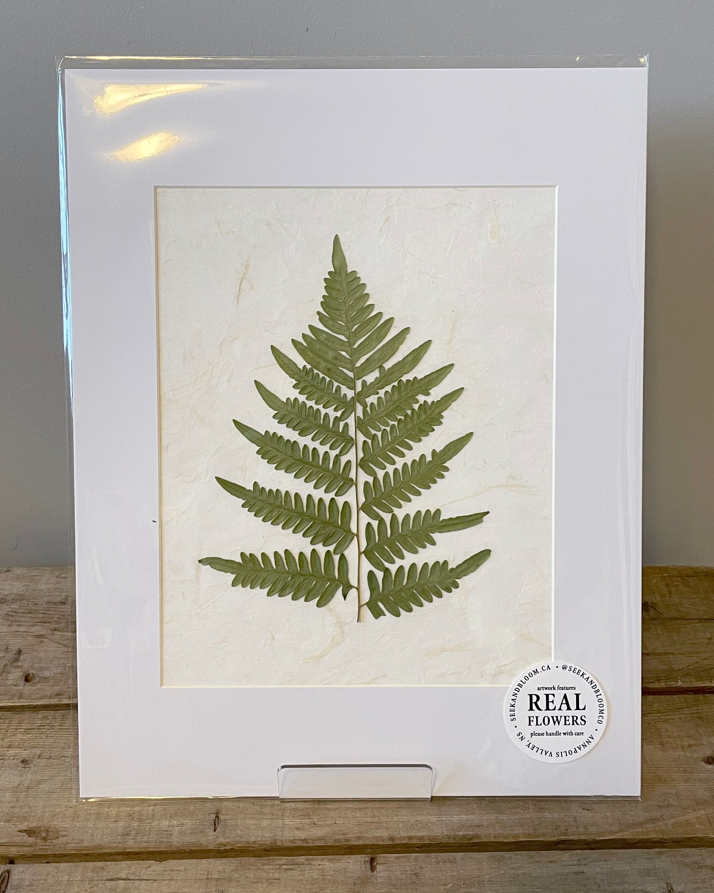 8x10" Wild Fern - Original Artwork