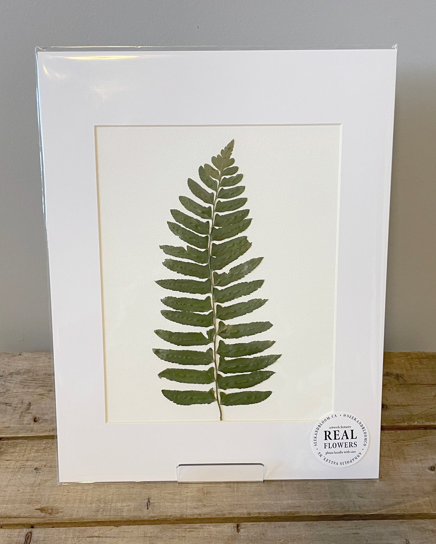 8x10" Wild Fern - Original Artwork