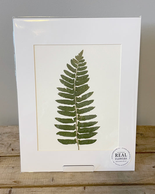 8x10" Wild Fern - Original Artwork