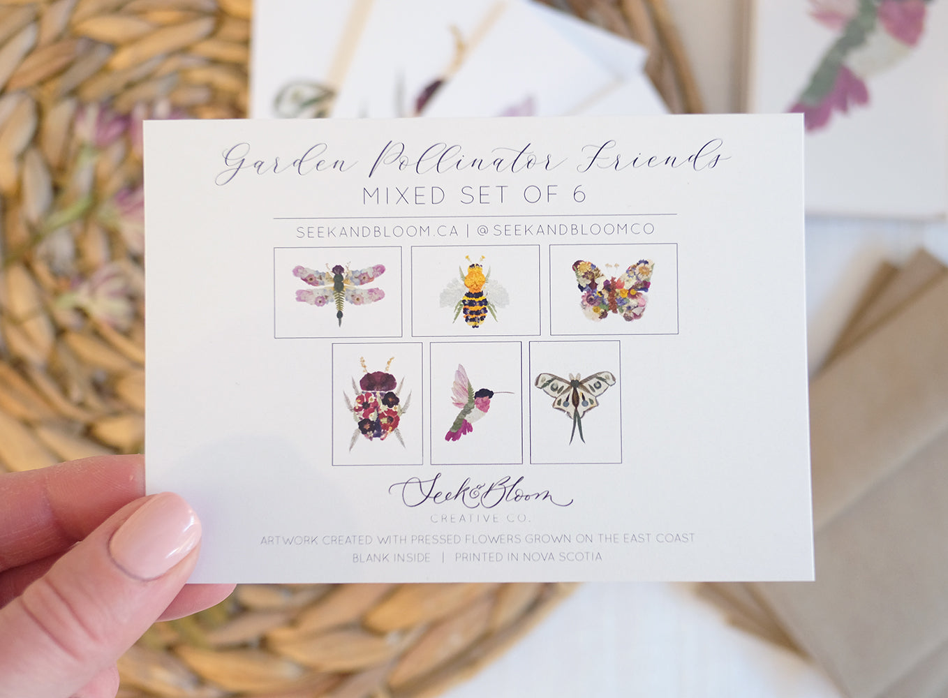 Mixed Pack, Garden Pollinator Friends, Pressed Flower, Note Card Set