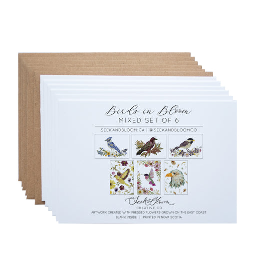 Birds in Bloom - Mixed Note Card Set