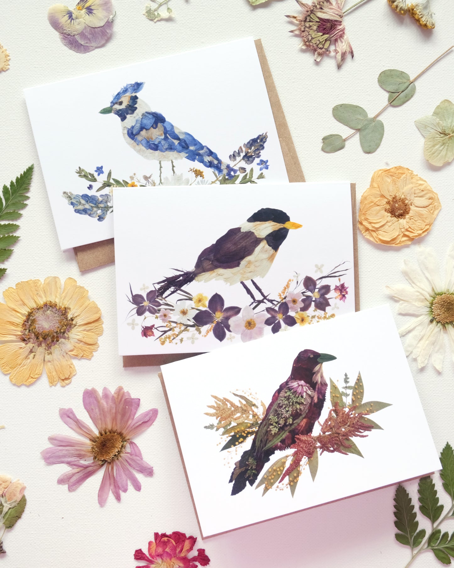 Birds in Bloom - Mixed Note Card Set