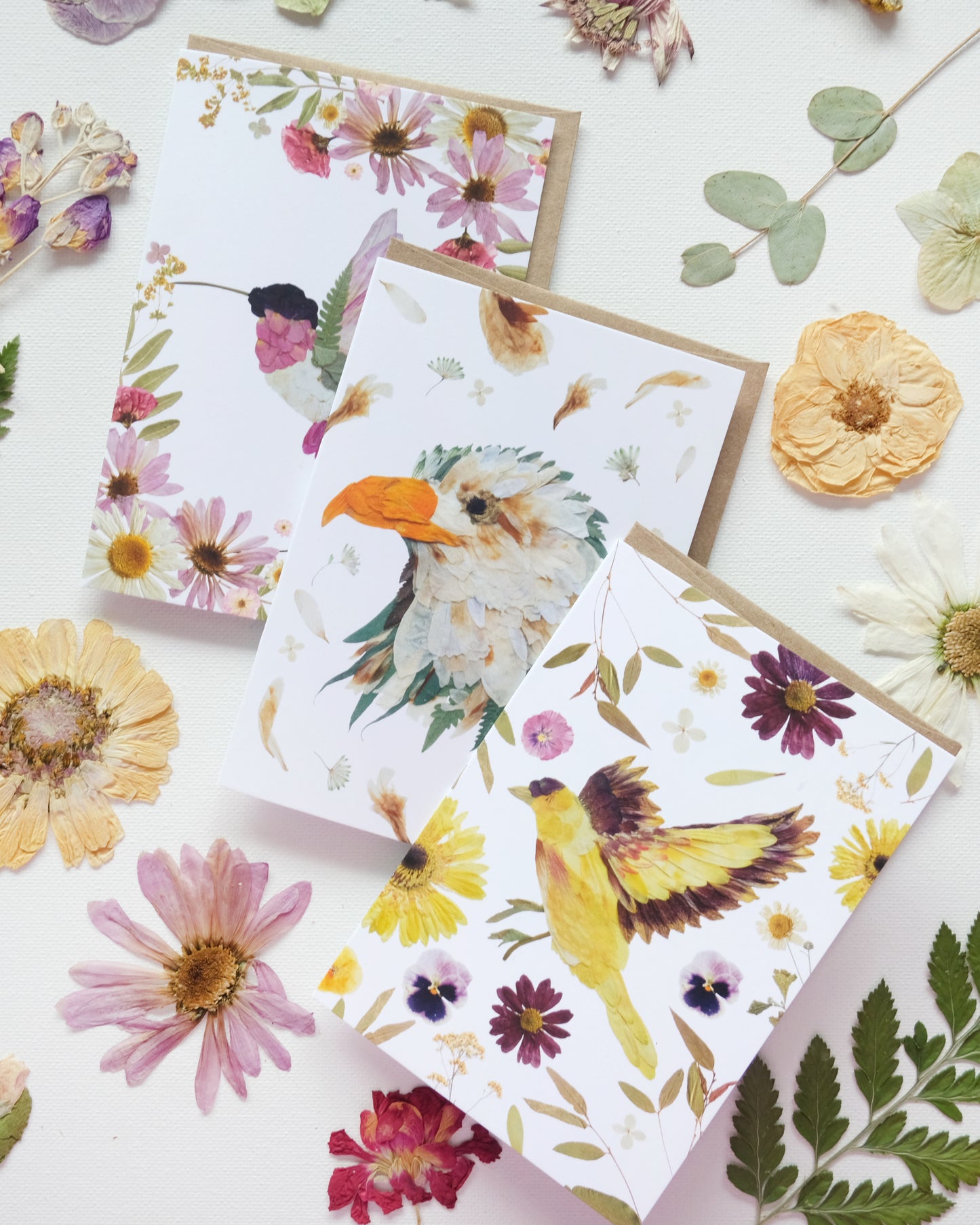 Birds in Bloom - Mixed Note Card Set