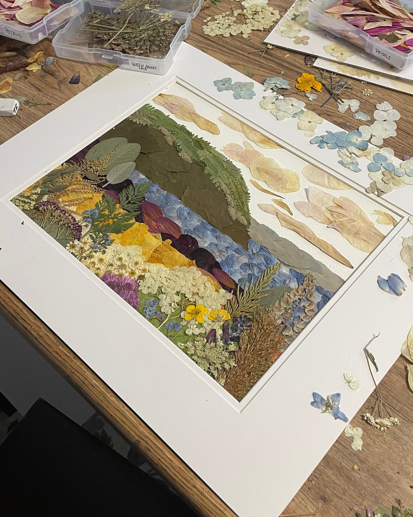 Blomidon in Bloom Landsape - Original Pressed Flower Artwork Framed