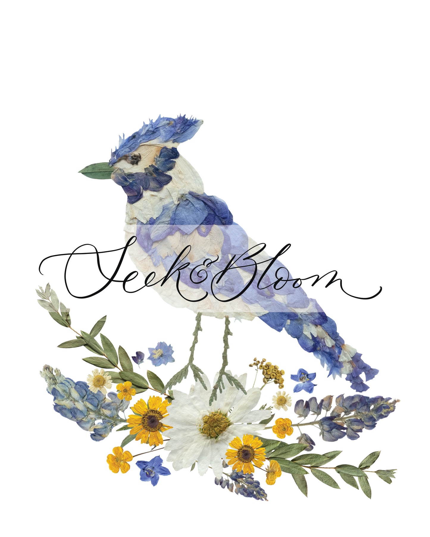 Bird Blue Jay - Pressed Flower Print
