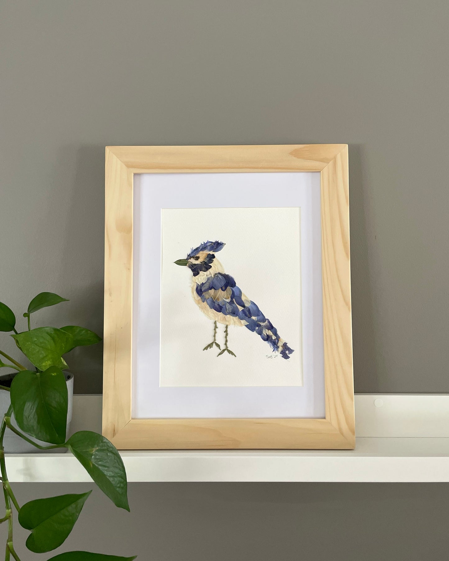 Blue Jay "Bluejay Serenade" - Original Pressed Flower Artwork Framed