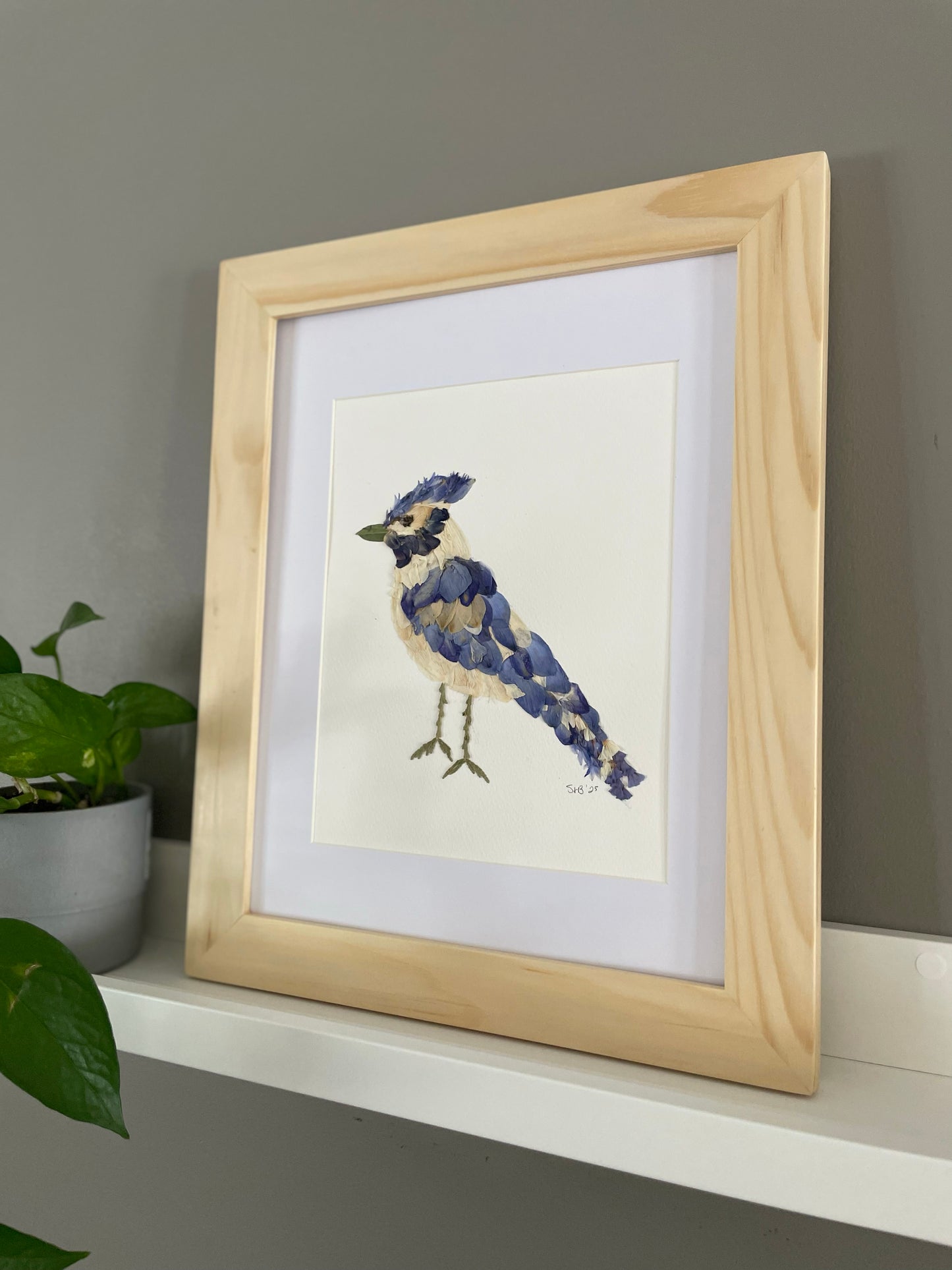 Blue Jay "Bluejay Serenade" - Original Pressed Flower Artwork Framed