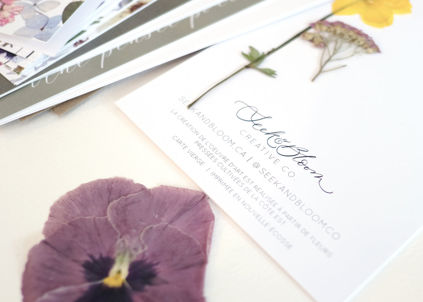 T'es La Meilleure, Wild Rose, Large Card French