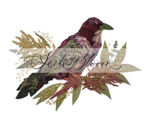 Bird Crow - Pressed Flower Print