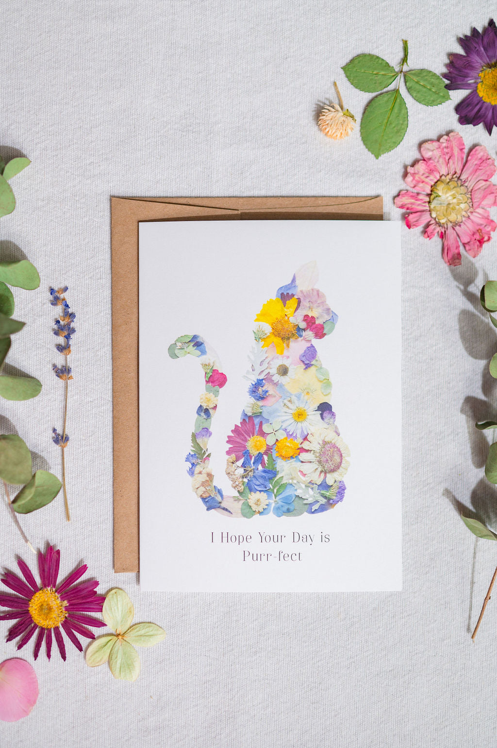 Cat Pressed Flower, I hope your day is Purr-fect, Card