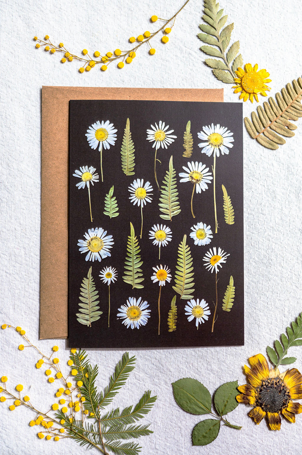 Wild Daisies Black Background Everyday Card