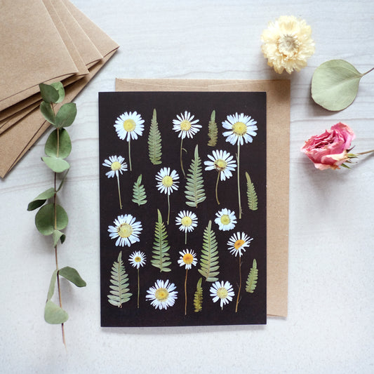 Wild Daisies Black Background Everyday Card