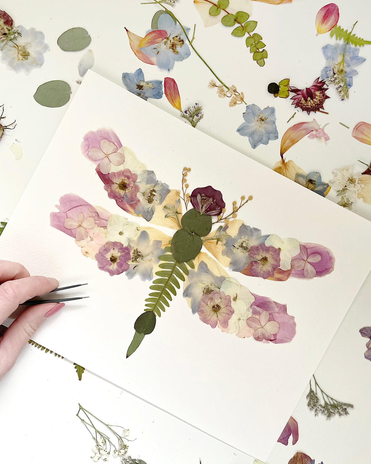 pressed flower botanical dragonfly artwork with pink, white and blue flowers and greenery.