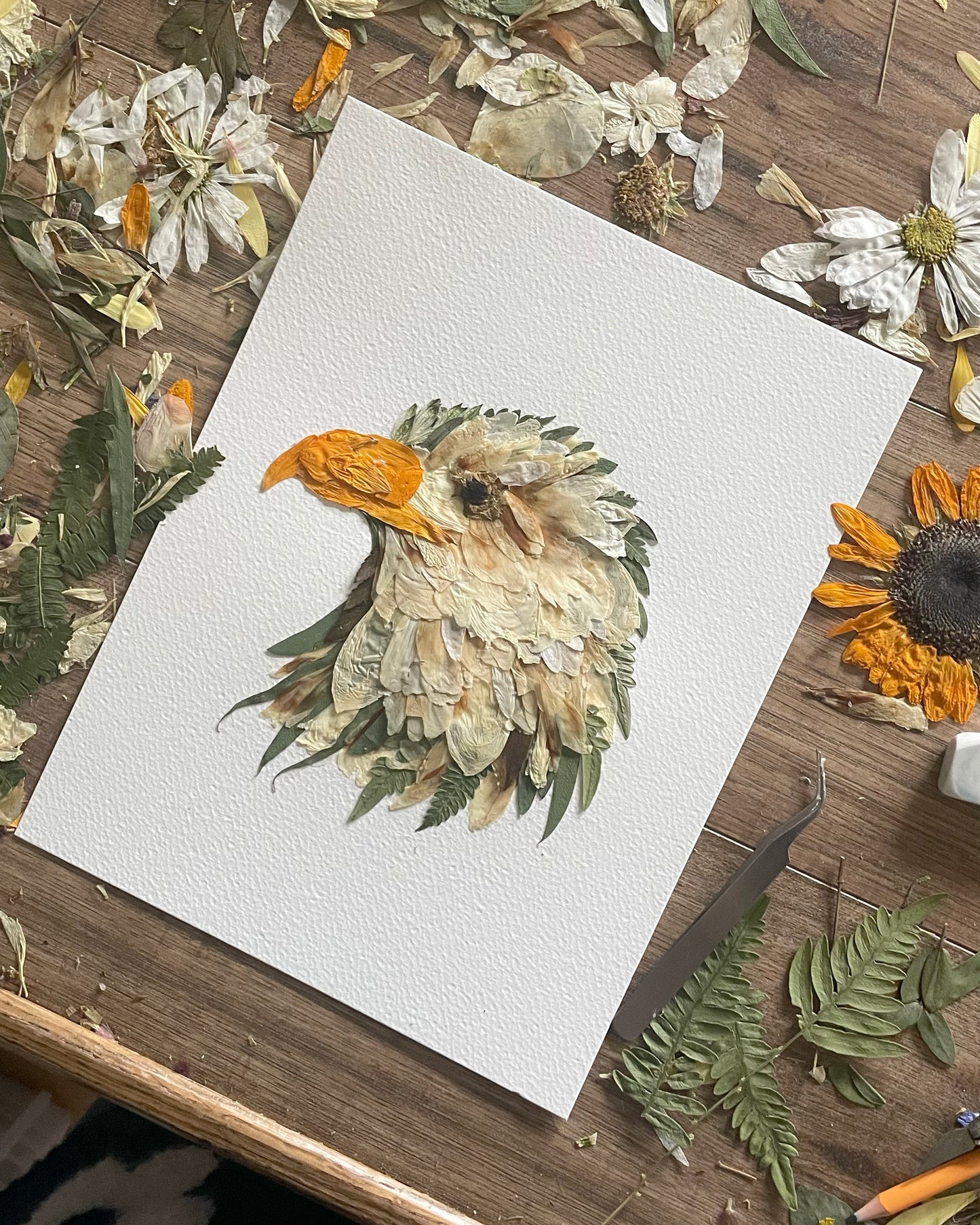 Eagle Head "Guardian’s Gaze" - Original Pressed Flower Artwork Framed