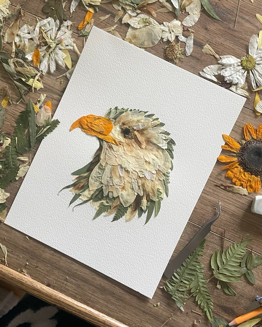Eagle Head "Guardian’s Gaze"  - Original Pressed Flower Artwork Framed *SOLD