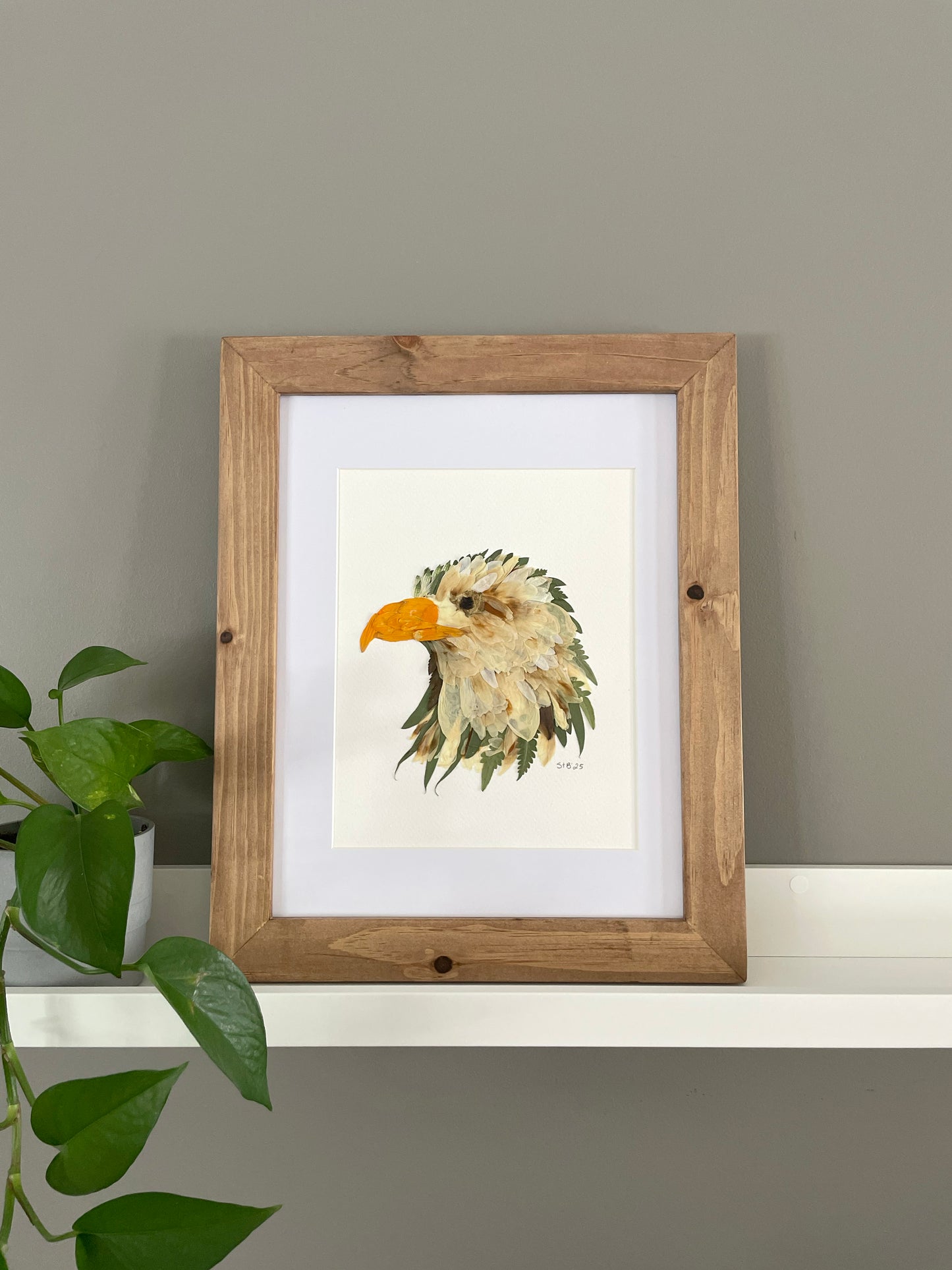 Eagle Head "Guardian’s Gaze" - Original Pressed Flower Artwork Framed