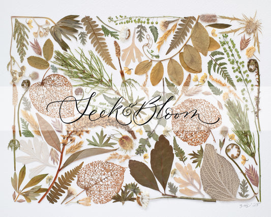 Earthlore, Pressed Flower Art Print