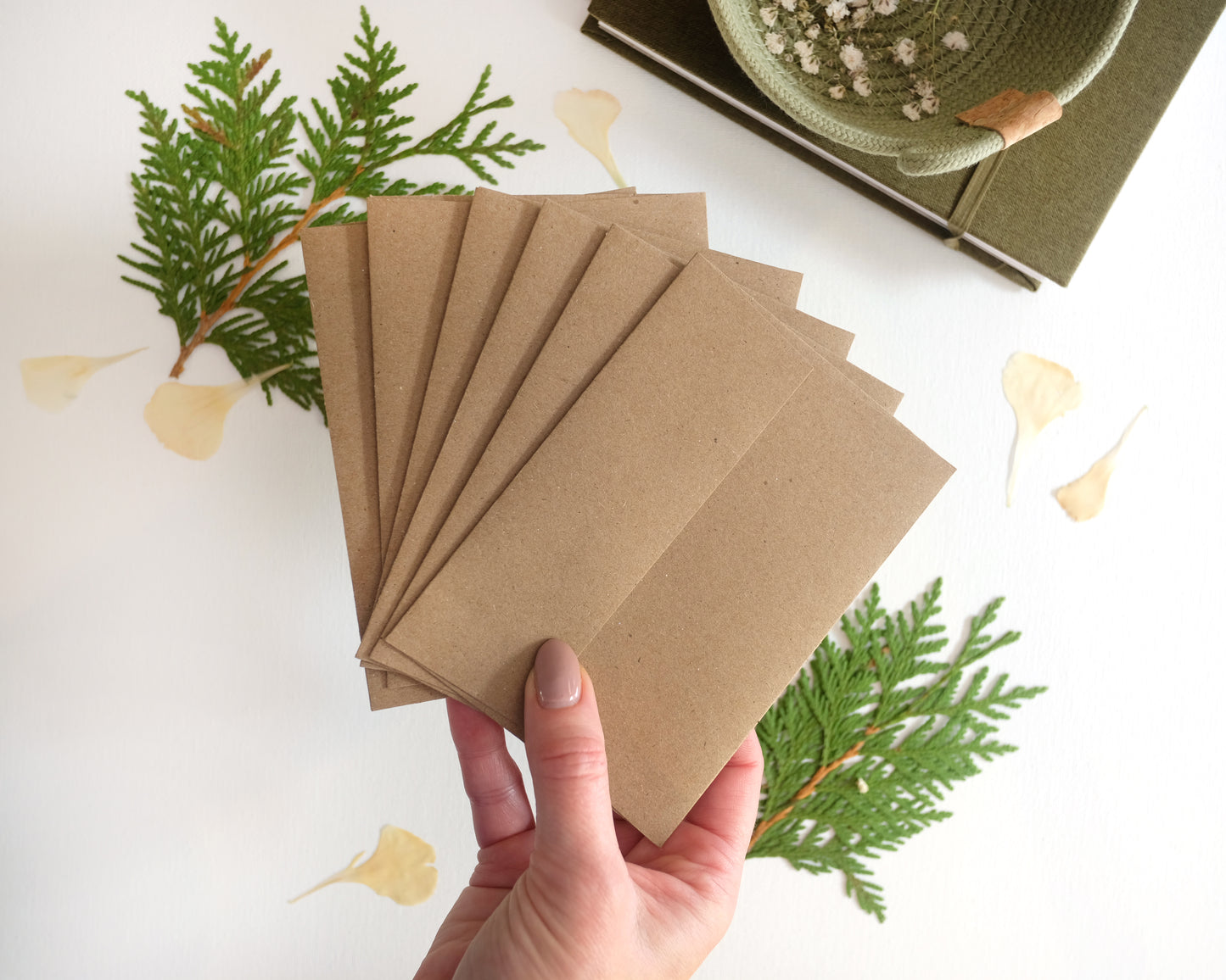 Cardinal,  Holiday Note Card Set