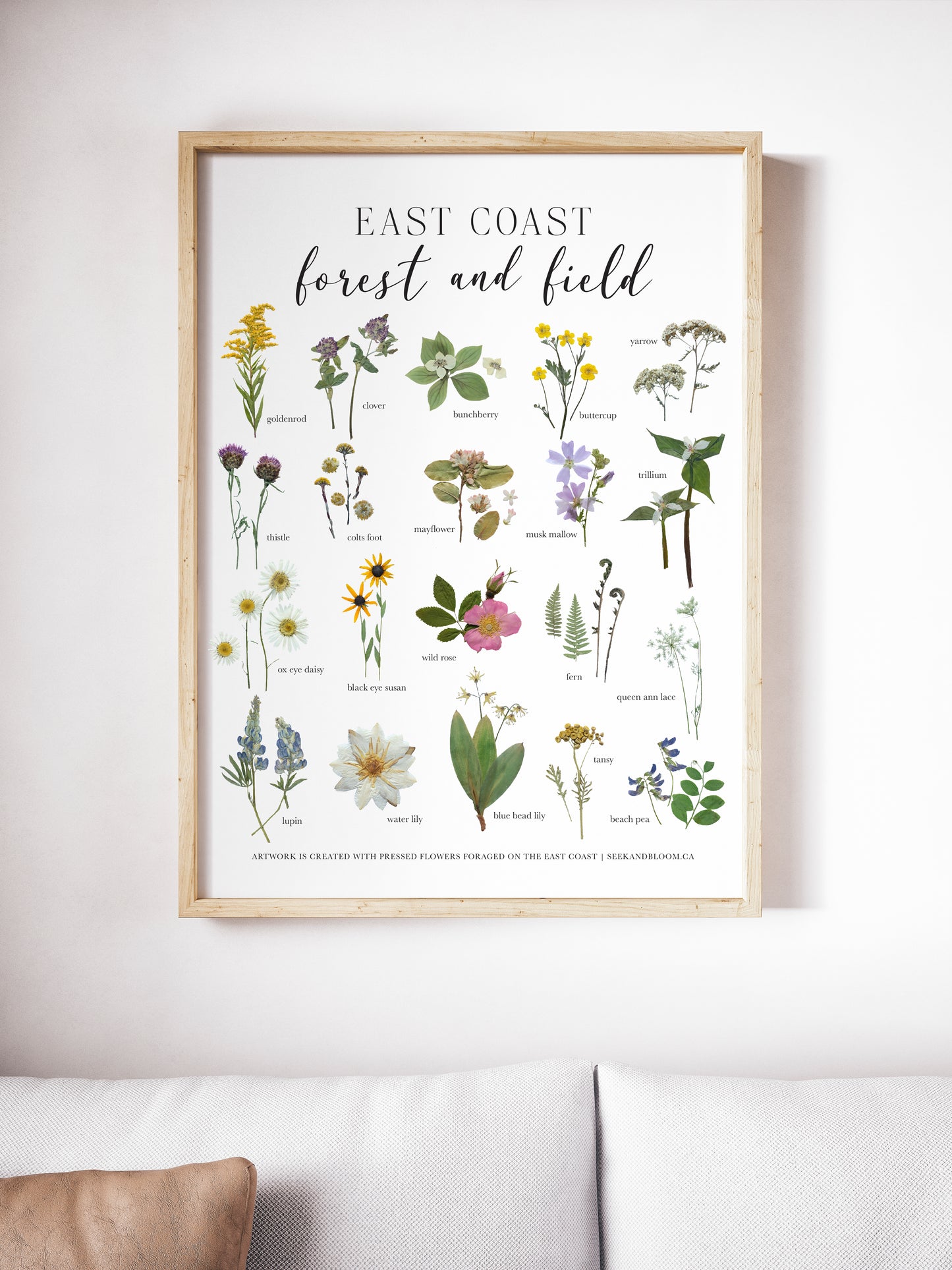 Forest and Field, East Coast Wildflowers, Pressed Flower Art Print