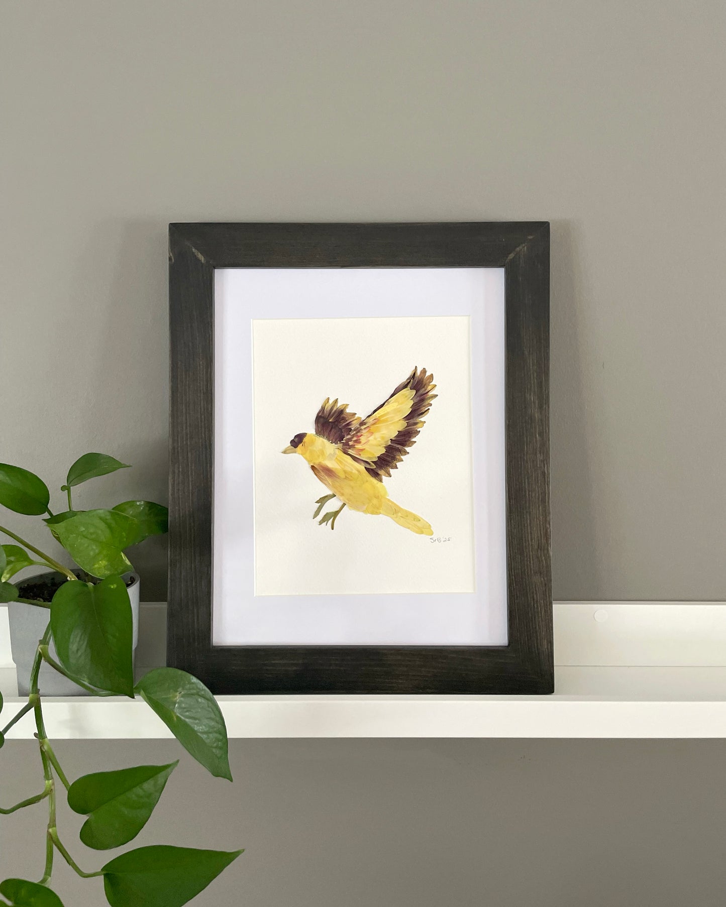 Finch "Golden Glide" - Original Pressed Flower Artwork Framed