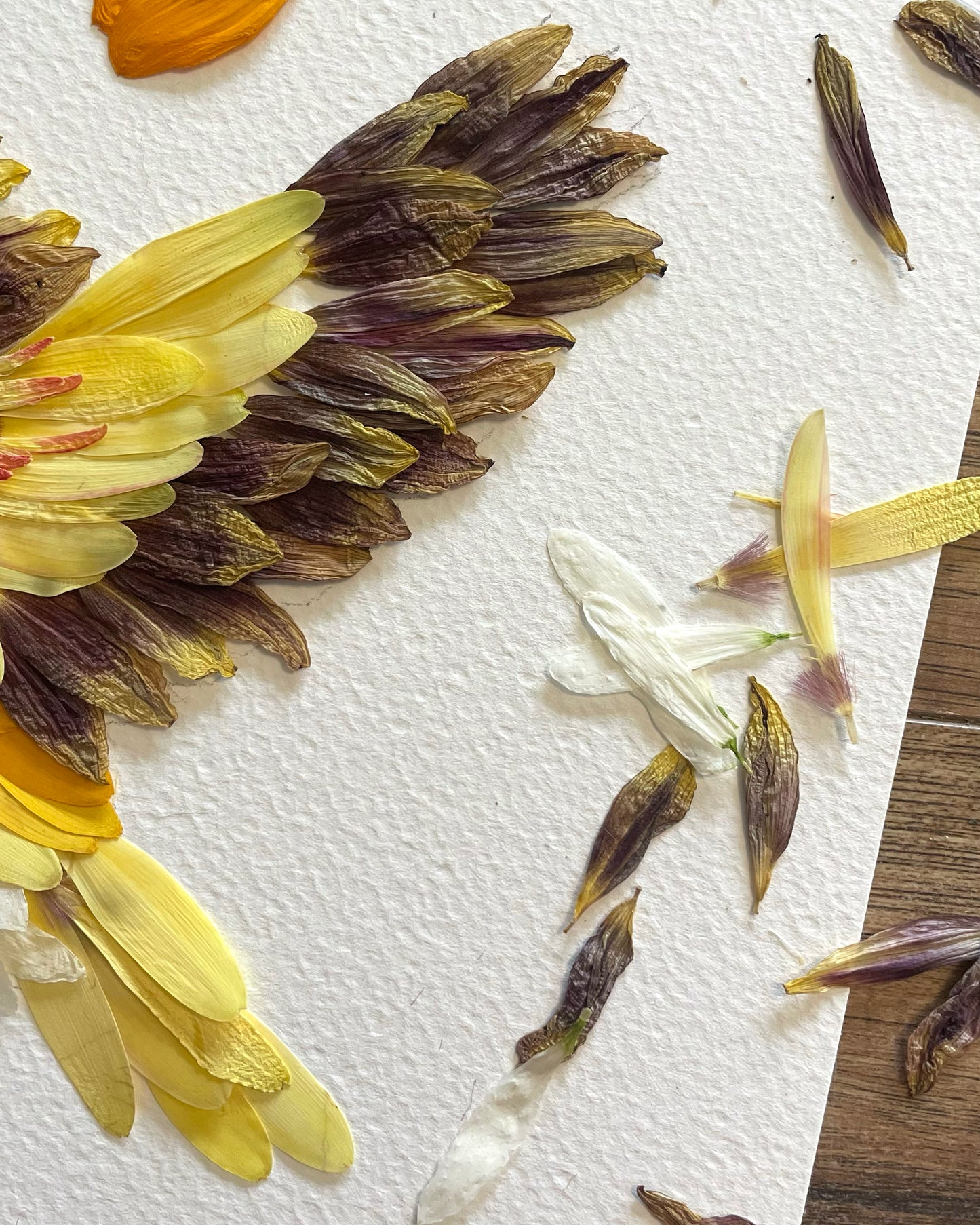 Finch "Golden Glide" - Original Pressed Flower Artwork Framed