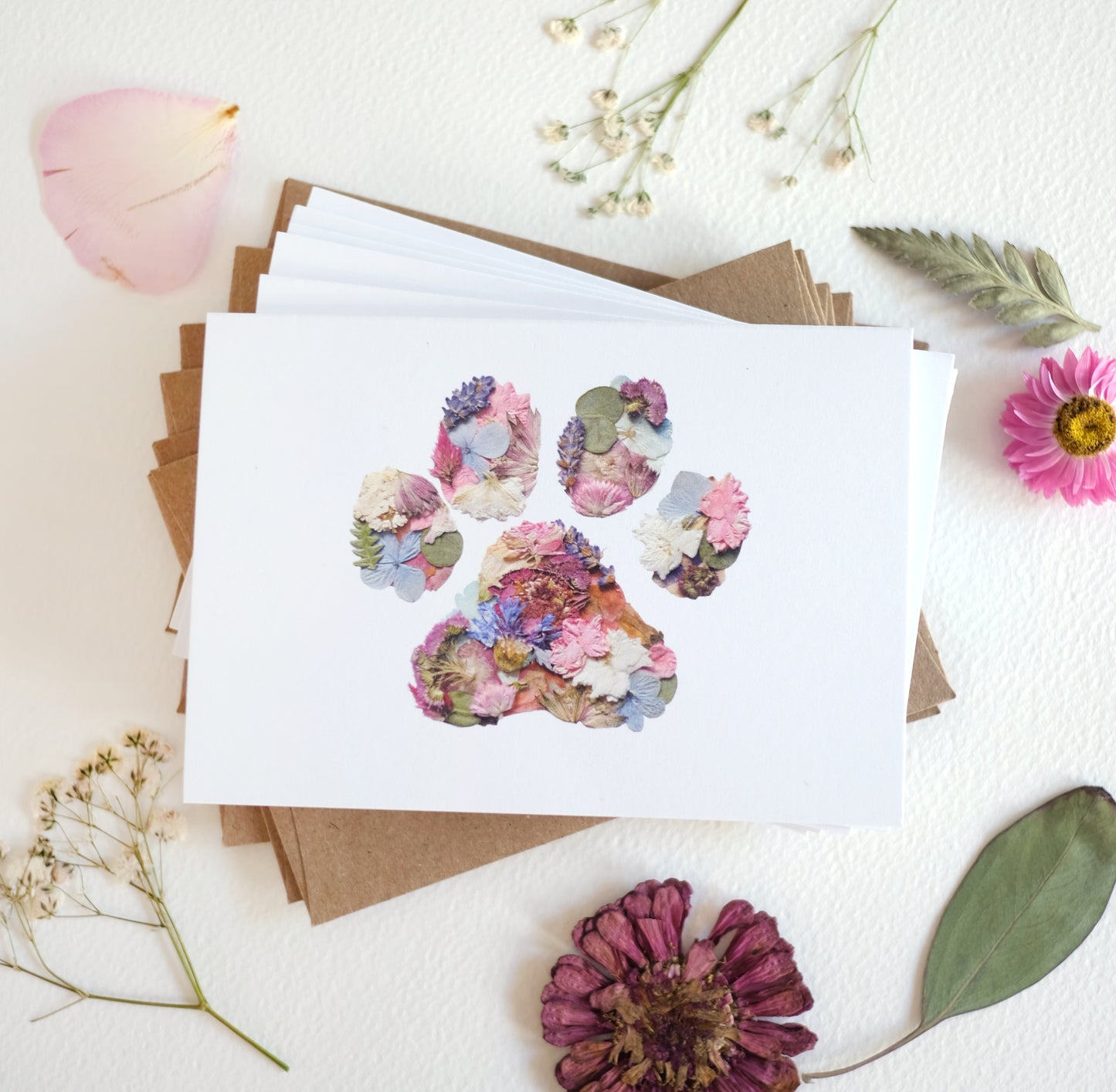 Pet Paw Print, Pressed Flower, Note Card Set
