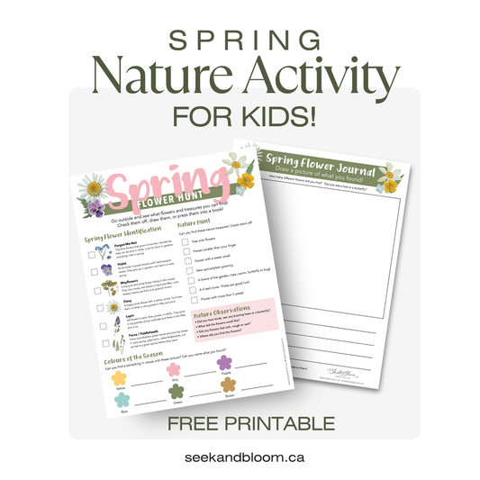 Kids Spring Flower Hunt - Free Download