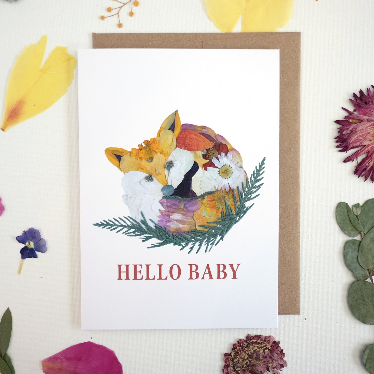 Fox, Hello Baby, Large Card