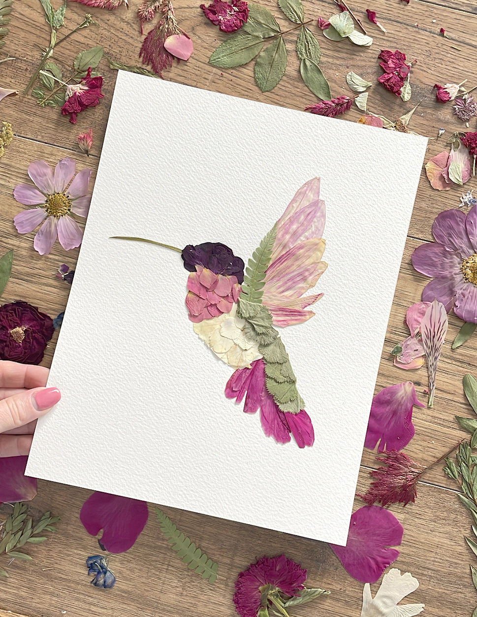 Hummingbird, Pressed Flower Art Print
