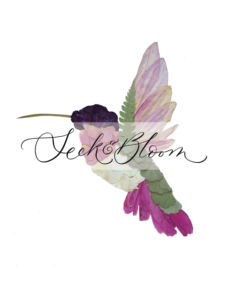 Hummingbird, Pressed Flower Art Print