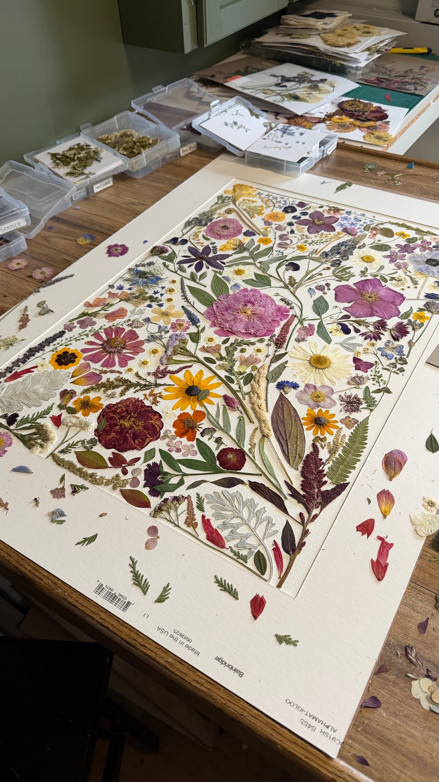 Seasons Collage- Original Pressed Flower Artwork Framed