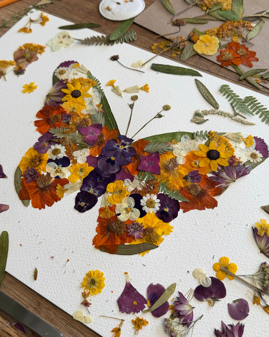 Butterfly - Original Pressed Flower Artwork Framed