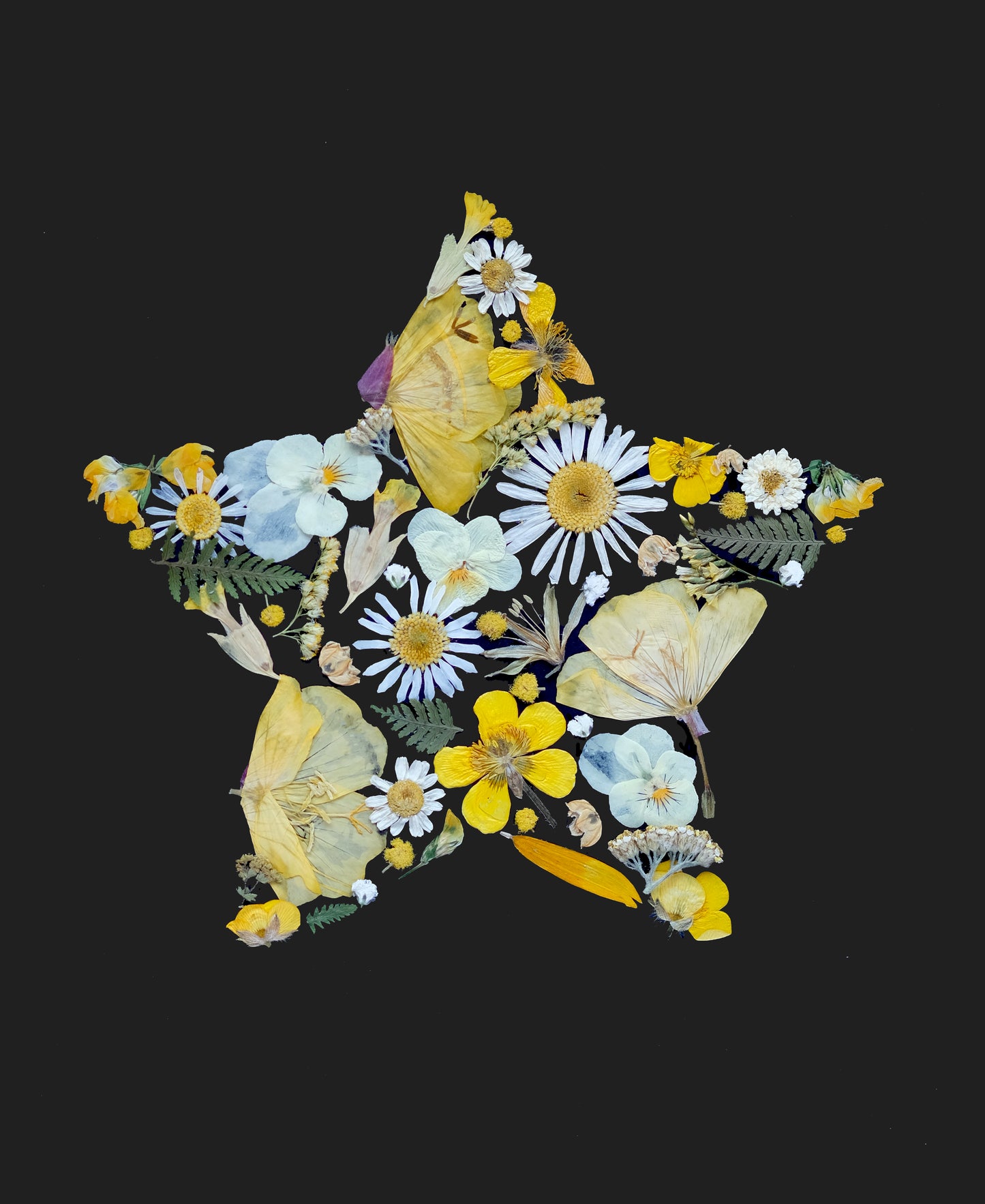 Star, Pressed Flower Art Print