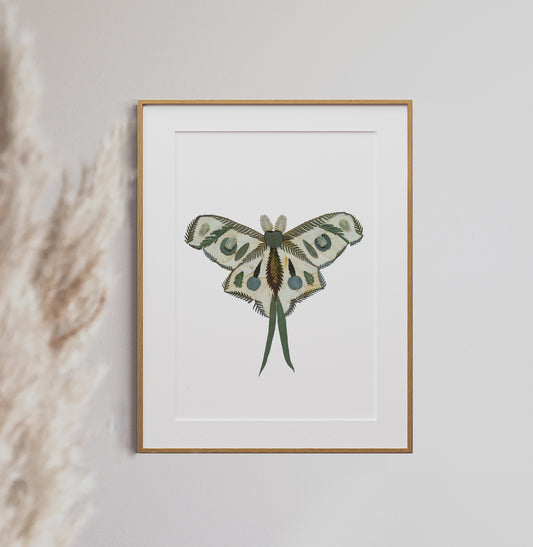 Moth, Pressed Flower Art Print
