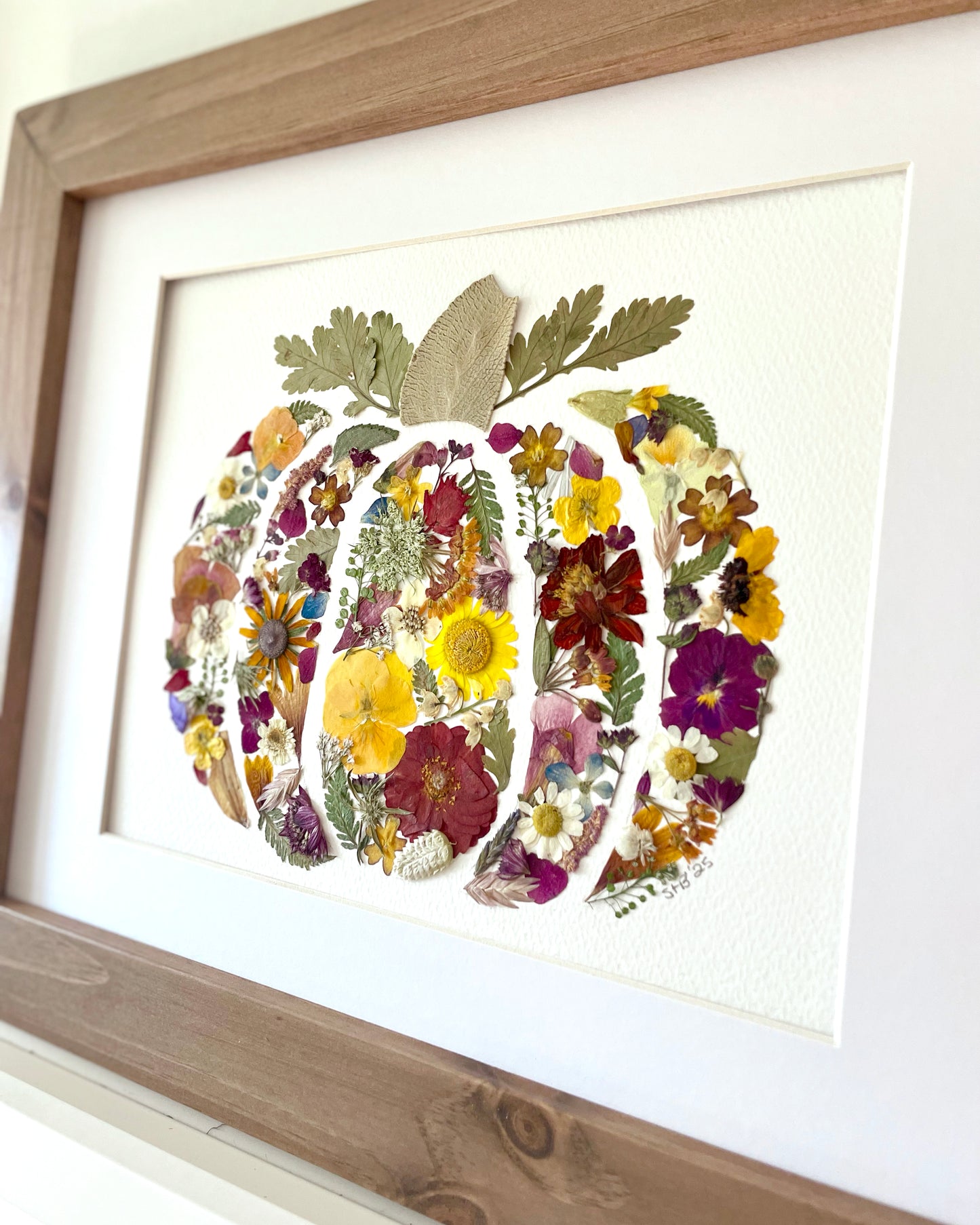 Pumpkin - Original Pressed Flower Artwork Framed
