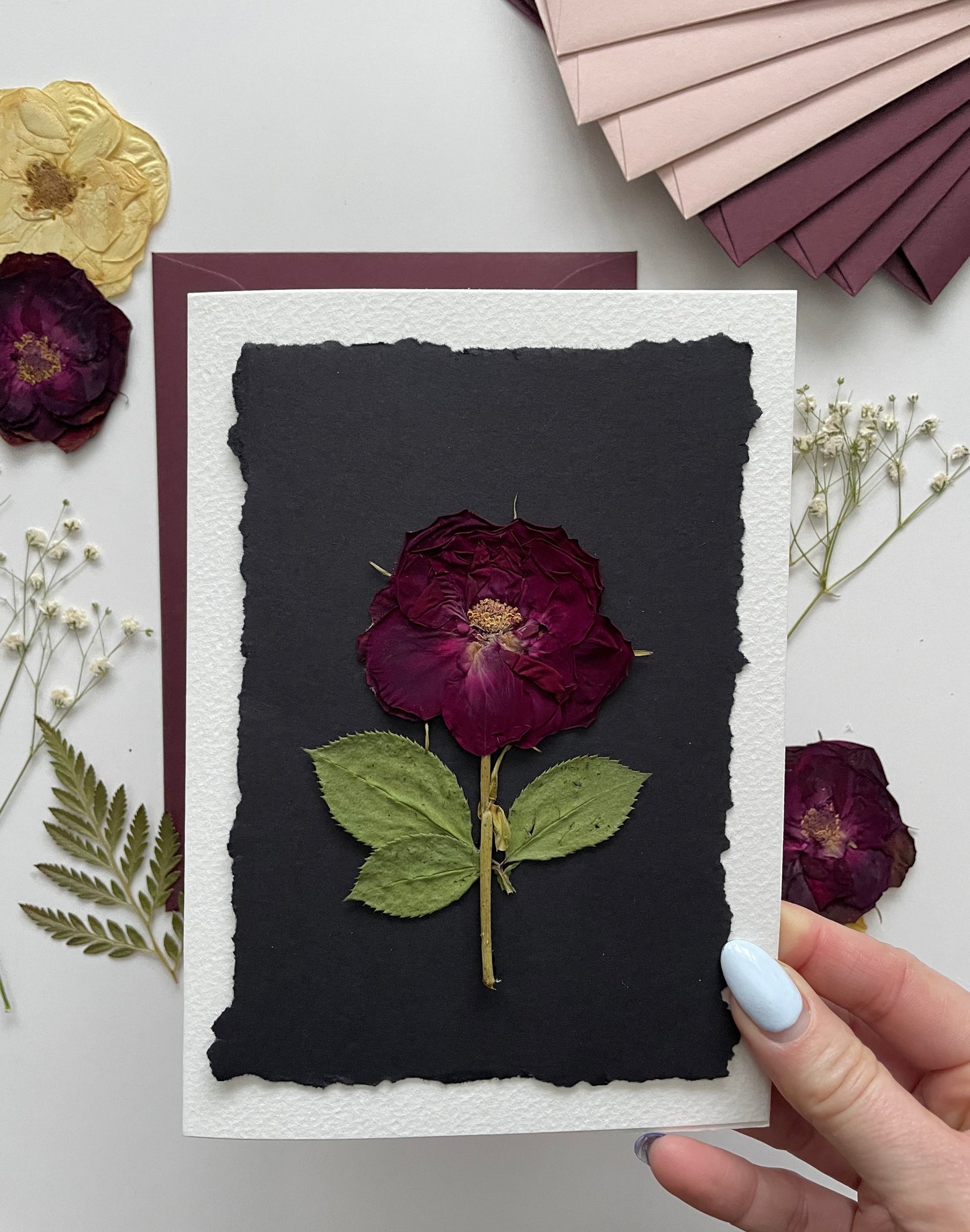 Forever Rose Valentine's Day Cards, Assortment of Handcrafted Cards with Real Pressed Mini Roses