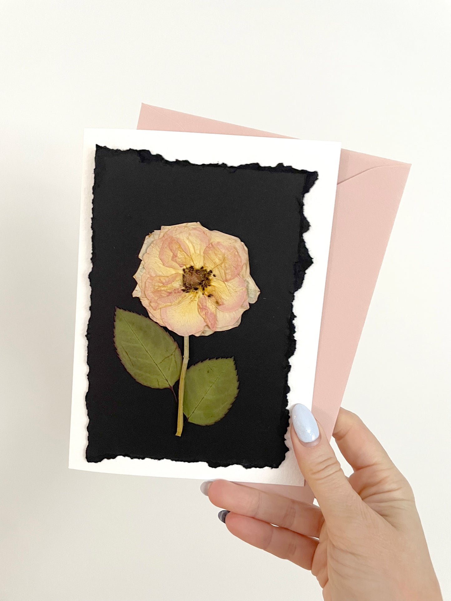 Forever Rose Valentine's Day Cards, Assortment of Handcrafted Cards with Real Pressed Mini Roses