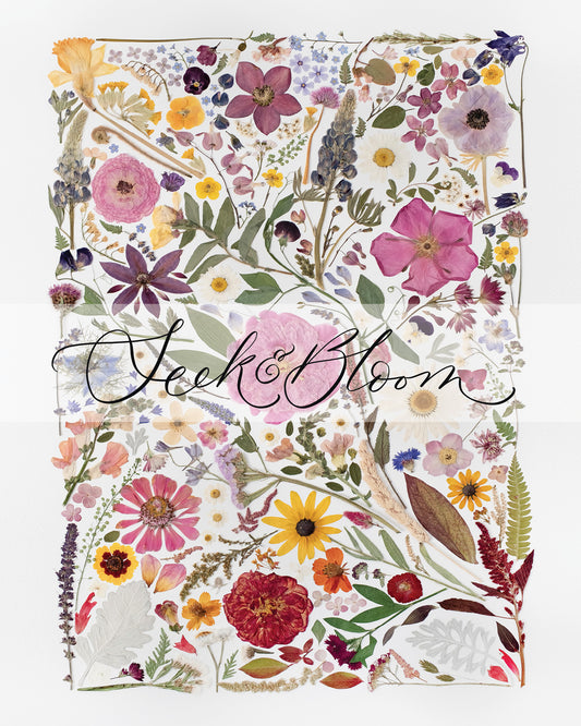 Seasons Collage, Pressed Flower Art Print